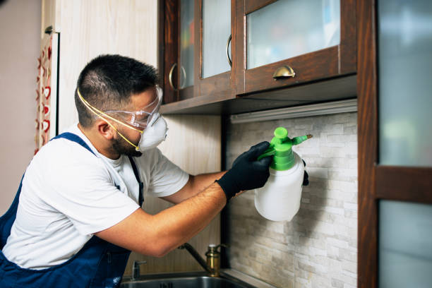 Best Emergency Pest Control  in Tipton, CA