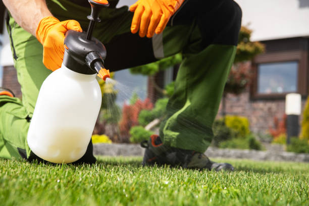 Best Cockroach Control Services  in Tipton, CA