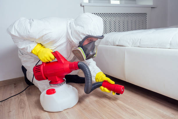 Best Affordable Pest Control Services  in Tipton, CA