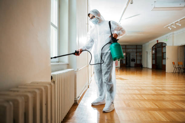 Best Rat Extermination Near Me  in Tipton, CA